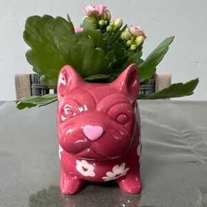 Valentine’s Day Frenchie Dog Planters 2026 Edition. Adorable. Brand New.